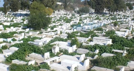 للبحث عن كنوز.. نبش قبر إمام أسبق للحرمين (فيديو)