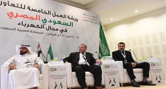 نايف العبادي: الربط الكهربائي بين المملكة ومصر يوفر 3 آلاف غيغاواط