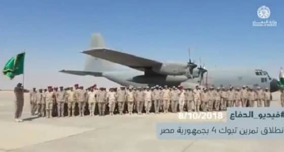 بالفيديو.. أبرز إنجازات الدفاع في شهر أكتوبر