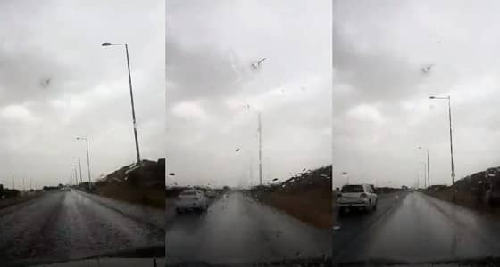 بالفيديو.. أمطار رعدية تنهال على الشوارع والطرق بالطائف