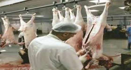 أمانة نجران تنفذ حملات تفتيشية على الملاحم بحي الحصين