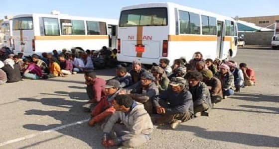 ضبط 951555 مخالفًا ضمن " وطن بلا مخالف "