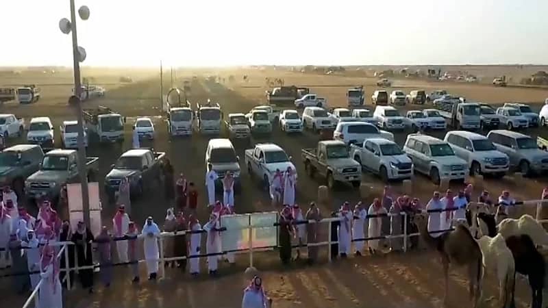 20 مليون ريال قيمة التداولات في مزاد عقلة الصقور