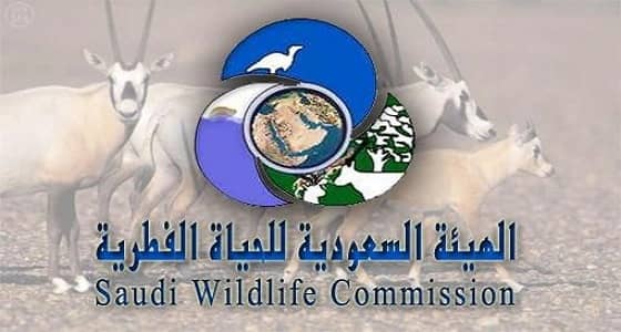 حقيقة تخصيص مكافأة 5000 ريال لمن يبلغ عن ممارس الصيد بالأسلحة