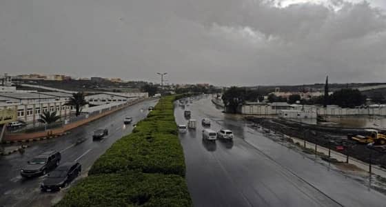 توقعات بهطول أمطار رعدية في الباحة وعسير وجازان