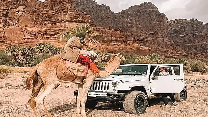 بالصور.. رحالة فنلندية توثق مشاهد بديعة لرحلتها بوادي الديسة في تبوك