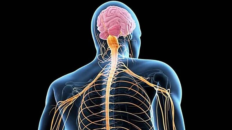 "الغذاء والدواء" الأمريكية تعلن الموافقة على علاج جديد للتصلب الجانبي الضموري