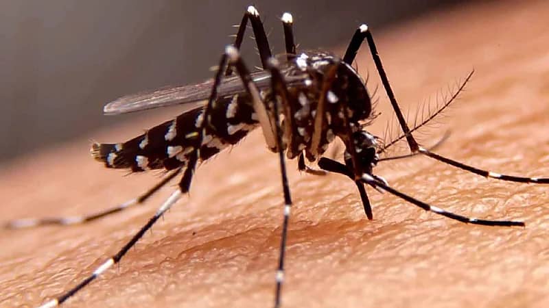 بريطانيا تعلن عن اكتشاف فيروس غرب النيل