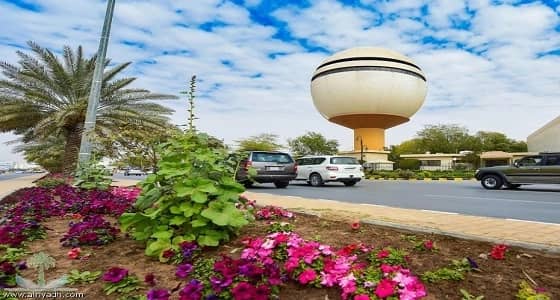 القيصومة تسجل أعلى درجات الحرارة اليوم الاثنين