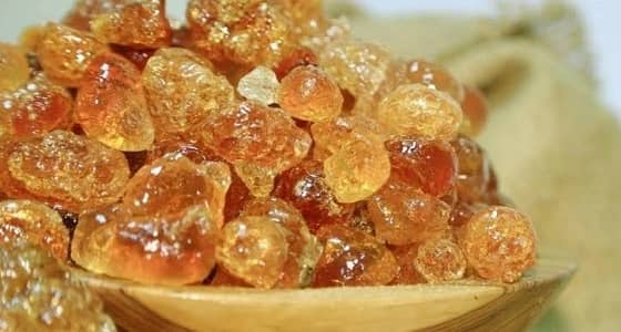 طبيب يخرج عن صمته ويكشف حقيقة العلاج بالصمغ العربي 