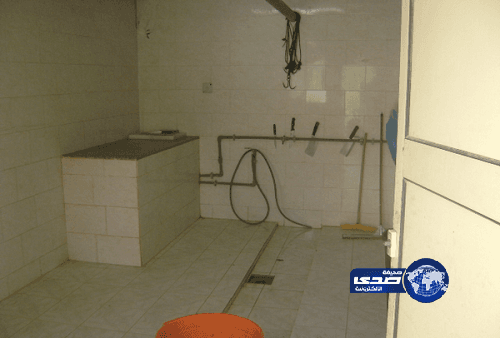 ضبط مسلخ عشوائي بسطح مبنى لسكن عمال وافدين بـ"محاسن المبرز"