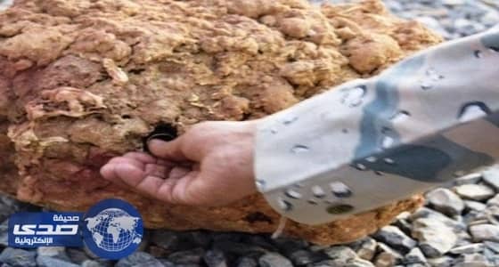 بالصور.. حرس الحدود يبطلون مفعول «ألغام بيئية» زرعها حوثيون