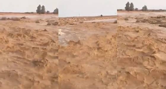 بالفيديو.. تجدد جريان السيول بـ " الكهفة "