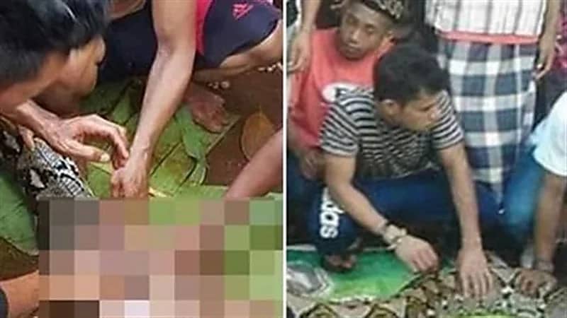 العثور على جثة امرأة داخل أحشاء ثعبان ضخم