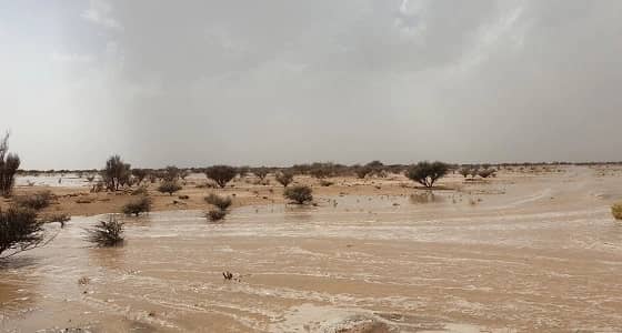 بينهم أطفال.. السيول تحتجز 8 أشخاص بالعطيف