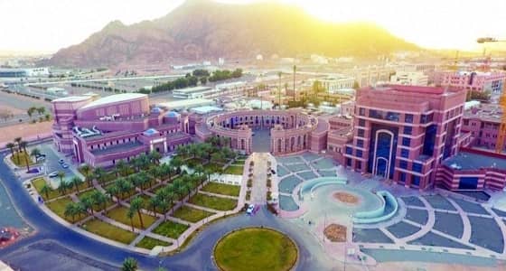 جامعة طيبة تعلن عن وظائف شاغرة