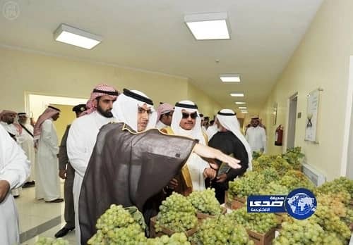 حبس البلتاجي 15 يوماً بتهمة تعذيب مواطنين بـ"رابعة"