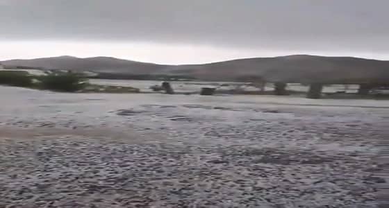 بالفيديو.. هطول الأمطار والثلوج على وادي البيح بأبها