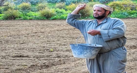 بالصور.. " المزارع السعيد " محمد الحشري في حوار مع " صدى "