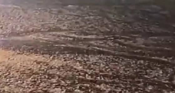 شاهد.. هطول أمطار وحبات البرد على الطائف