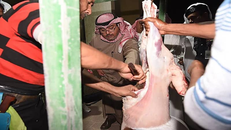 بالفيديو والصور.. ضبط شحنة مخدرات داخل أحشاء أغنام بالكويت