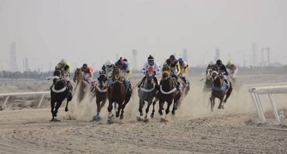 مشاركة 67 جوادا في تصفيات عز الخيل برعاية أمير القصيم