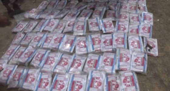 عناصر مليشيا الحوثي مدمنة مخدرات وتتاجر في الحشيش