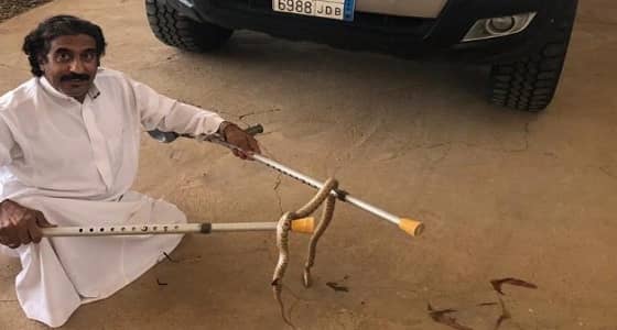 شاهد.. مواطن من ذوي الهمم يقتل ثعبان بعد معركة دامت 10 دقائق