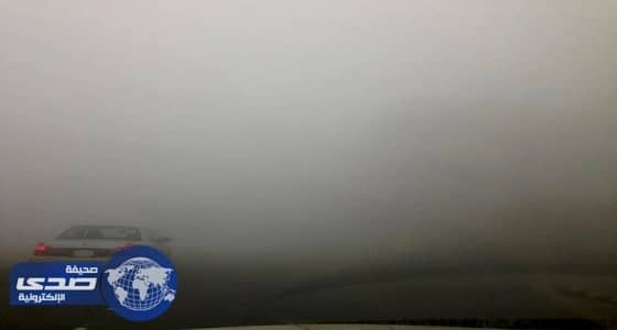 النقل تقدم 6 نصائح للسائقين للحد من حوادث القيادة في " الضباب "