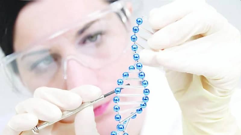 بالفيديو .. مختص: لا يوجد علاج جذري للأمراض الوراثية