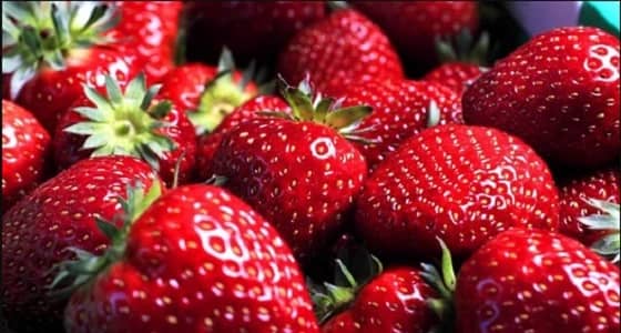 الفراولة لعلاج أمراض التهاب الأمعاء المزمن