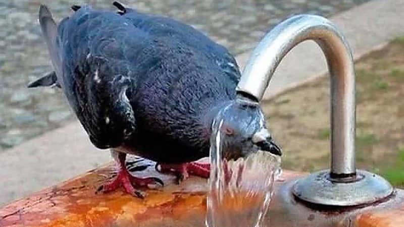 المسند: النماذج المناخية تشير إلى صيف أكثر حرارة من المعتاد