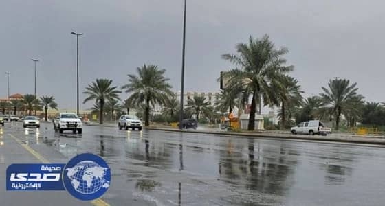 هطول أمطار خفيفة ومتوسطة على المدينة والطائف