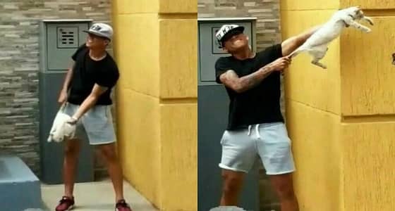 بالفيديو..لاعبان يعذبان قطة بطريقة وحشية..والنادي يعاقبهما بالطرد