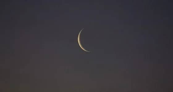 الكشف عن أول أيام عيد الأضحى المبارك