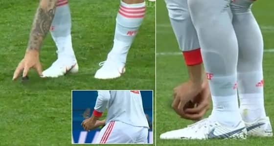 " الرفق بالحيوان " تمنح بيكيه و إيسكو جائزة لمساعدة طائر " كازان أرينا "