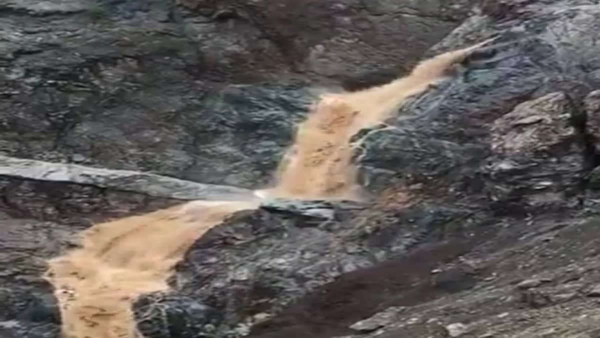 سبب انتقال " نيانج " إلى الأهلي 