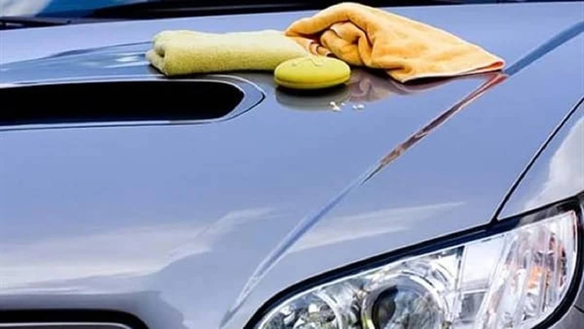 العدل توضح طريقة رفع دعوى النفقة ضد الزوج