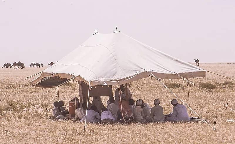 أطفال يدرسون في مدرستهم الصحراوية قبل 40 عام