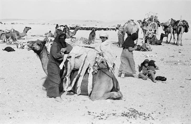 حياة البادية لعائلة قرب الرياض عام 1364ه‍