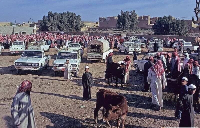 سوق الماشية في بريدة قبل 55 عام