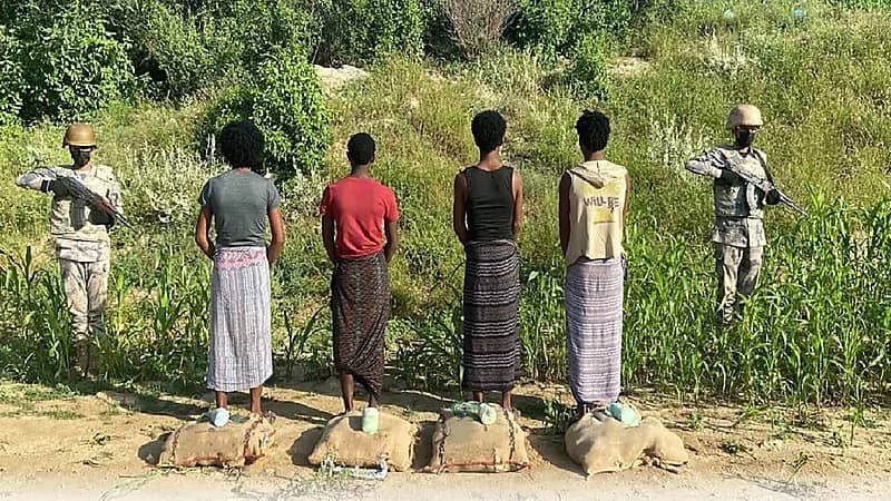 ضبط 4 مخالفين لنظام الأمن لمحاولتهم تهريب 80 كيلوجرام من القات المخدر بجازان