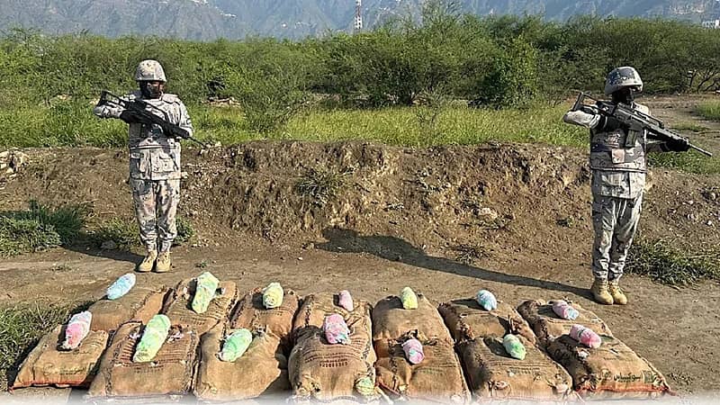 إحباط تهريب 190 كيلوجرامًا من القات بـ عسير