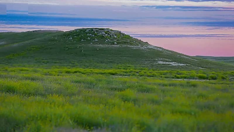 تحديث آلية الدخول والتنزه في منطقتيّ الصمان والدهناء