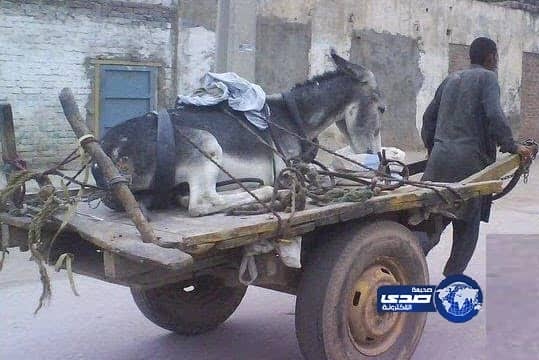 الدنيا دواره .... ويامسؤول أفهم !!!  