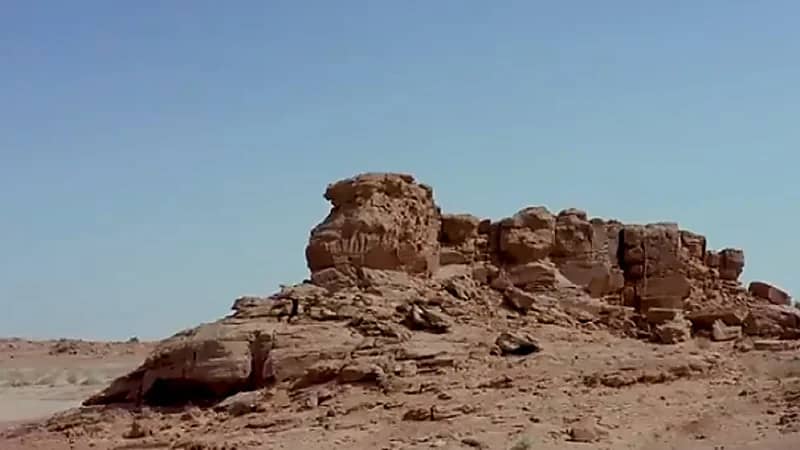 بالفيديو .. دراسة حديثة تكشف معلومات تاريخية عن موقع نحت الجمل بالجوف