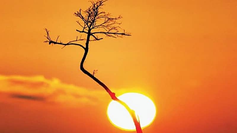 خبير يكشف ملامح درجات الحرارة المتوقعة في المملكة خلال يونيو