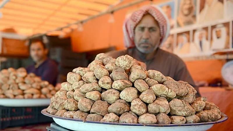 أخصائية تغذية: الفقع فوائده مقاربة للحوم وهذا سبب ارتفاع سعره