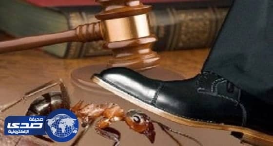  كاتب يعلق على قضية " دهس النملة ".. ويوضح مهام المواطن حيالها