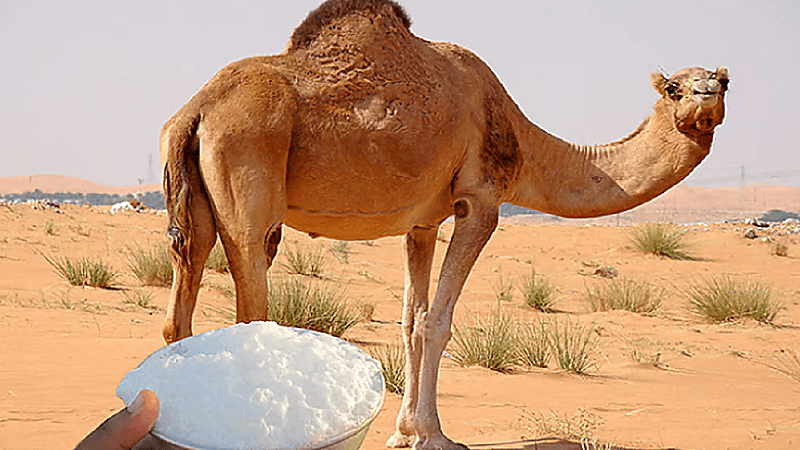 Screenshot 2025-09-24 230745.png